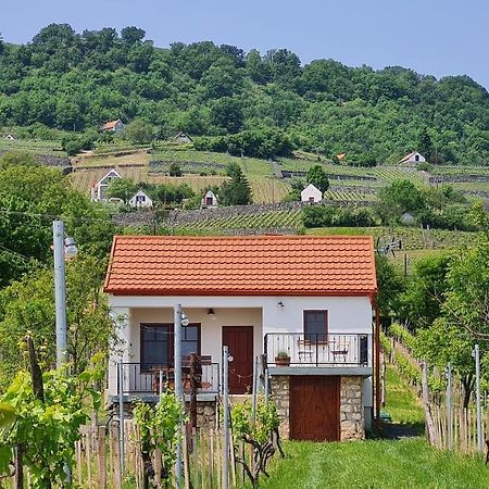 Vila Jera Pince Es Vendeghaz Somlovasarhely Exteriér fotografie