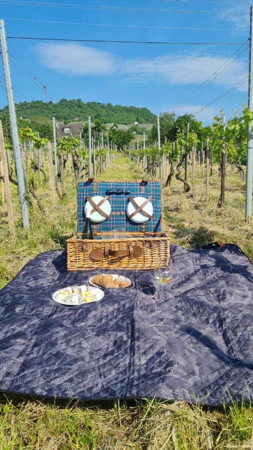 Vila Jera Pince Es Vendeghaz Somlovasarhely Exteriér fotografie